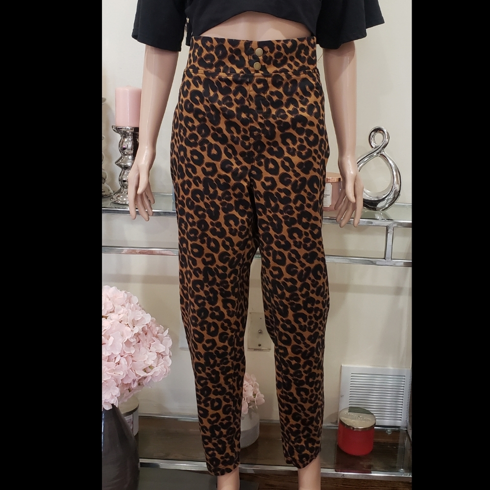 NWT Terra & Sky Animal Print Jeggings - Size 1X